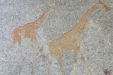 Jarlath (Matobo Hills): Jarlath (Matobo Hills) - Bild 12