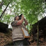 GEO-Tag der Artenvielfalt: Artenvielfalt im Pfälzerwald