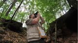 GEO-Tag der Artenvielfalt: Artenvielfalt im Pfälzerwald