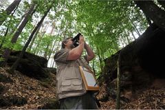 GEO-Tag der Artenvielfalt: Artenvielfalt im Pfälzerwald