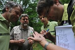 GEO-Tag der Artenvielfalt: Artenvielfalt im Pfälzerwald - Bild 2