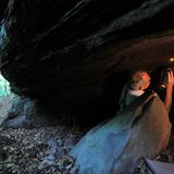 GEO-Tag der Artenvielfalt: Artenvielfalt im Pfälzerwald - Bild 3