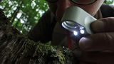 GEO-Tag der Artenvielfalt: Artenvielfalt im Pfälzerwald - Bild 4
