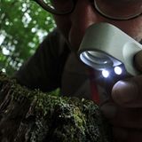 GEO-Tag der Artenvielfalt: Artenvielfalt im Pfälzerwald - Bild 4