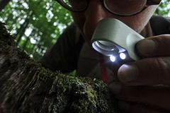 GEO-Tag der Artenvielfalt: Artenvielfalt im Pfälzerwald - Bild 4