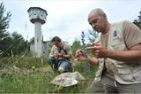 GEO-Tag der Artenvielfalt: Artenvielfalt im Pfälzerwald - Bild 5