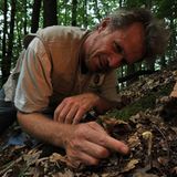 GEO-Tag der Artenvielfalt: Artenvielfalt im Pfälzerwald - Bild 8