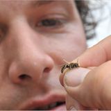 GEO-Tag der Artenvielfalt: Artenvielfalt im Pfälzerwald - Bild 10