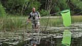 GEO-Tag der Artenvielfalt: Artenvielfalt im Pfälzerwald - Bild 11