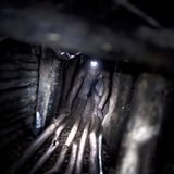 Zwischen Fotografie und Klaustrophobie