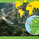 Naturschutz: Werde zum Waldretter!