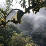 Naturschutz: Werde zum Waldretter! - Bild 2