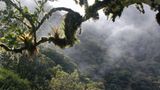 Naturschutz: Werde zum Waldretter! - Bild 2