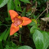 Naturschutz: Werde zum Waldretter! - Bild 3