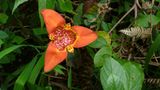 Naturschutz: Werde zum Waldretter! - Bild 3