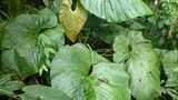 Naturschutz: Werde zum Waldretter! - Bild 4