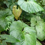 Naturschutz: Werde zum Waldretter! - Bild 4