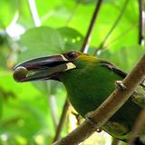 Naturschutz: Werde zum Waldretter! - Bild 5