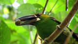 Naturschutz: Werde zum Waldretter! - Bild 5