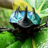 Naturschutz: Werde zum Waldretter! - Bild 6