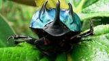 Naturschutz: Werde zum Waldretter! - Bild 6