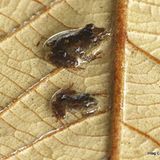 Naturschutz: Werde zum Waldretter! - Bild 7