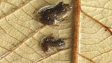 Naturschutz: Werde zum Waldretter! - Bild 7