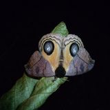 Naturschutz: Werde zum Waldretter! - Bild 8