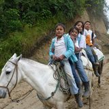 Naturschutz: Werde zum Waldretter! - Bild 10