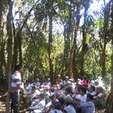 Naturschutz: Werde zum Waldretter! - Bild 11