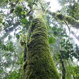 Naturschutz: Werde zum Waldretter! - Bild 12