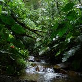 Naturschutz: Werde zum Waldretter! - Bild 13