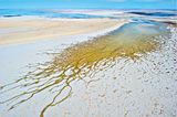 Lake Eyre (Australien)