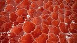 Lake Natron (Tansania)