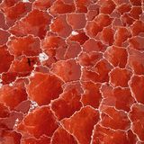 Lake Natron (Tansania)