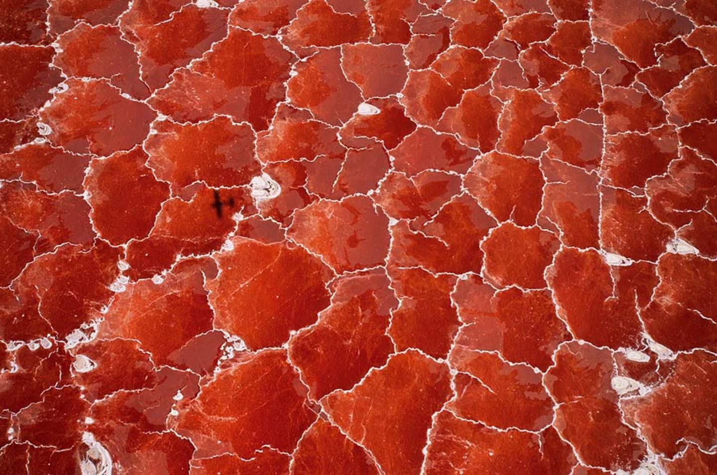 Lake Natron (Tansania)
