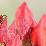 GEO Leserfoto: Die besten Leserfotos: April 2014 - Bild 4