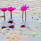 GEO Leserfoto: Die besten Leserfotos: April 2014 - Bild 5