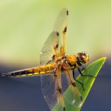 GEO Leserfoto: Die besten Leserfotos: April 2014 - Bild 6