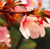 GEO Leserfoto: Die besten Leserfotos: April 2014 - Bild 8