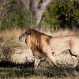 GEO Leserfoto: Die besten Leserfotos: April 2014 - Bild 10