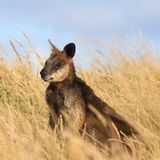 GEO Leserfoto: Die besten Leserfotos: April 2014 - Bild 11