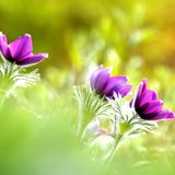 GEO Leserfoto: Die besten Leserfotos: April 2014 - Bild 12