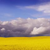 GEO Leserfoto: Die besten Leserfotos: April 2014 - Bild 13