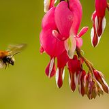 GEO Leserfoto: Die besten Leserfotos: April 2014 - Bild 14