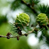 GEO Leserfoto: Die besten Leserfotos: April 2014 - Bild 18