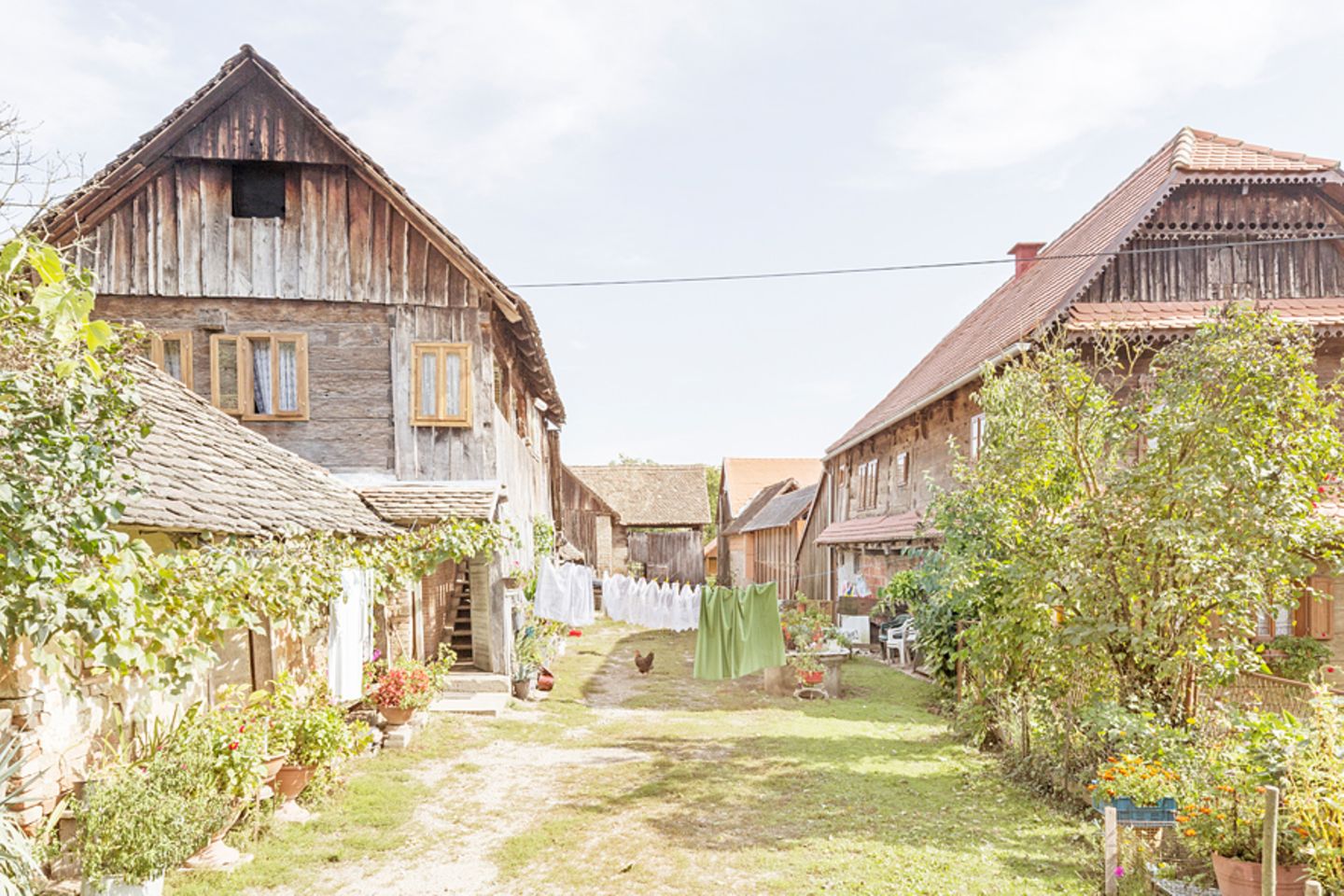 Bauernhäuser in Cigoc