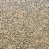 Hochleistungs-Schädling