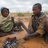 Heuschrecke am Spieß