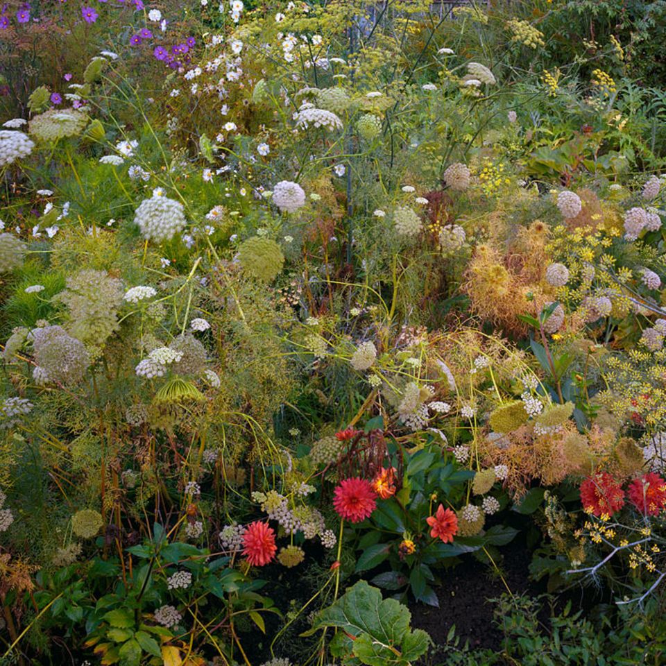 Typisch deutsch? Typisch deutsch?